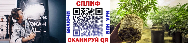 KRAKEN tor  Весьегонск  МАРИХУАНА Bruce Banner 